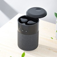 Wireless Bluetooth Speaker B20
