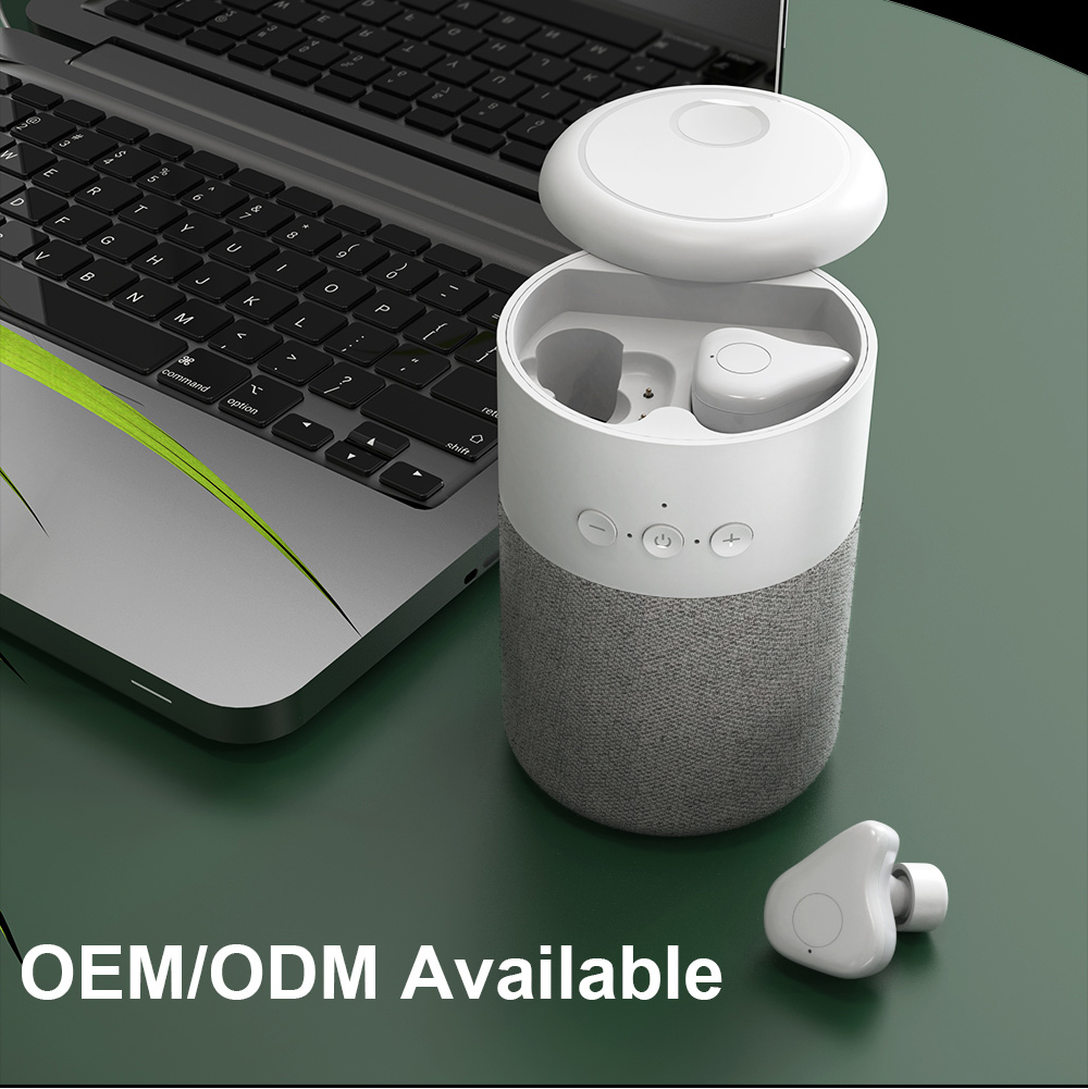 مكبرات الصوت الشركة المصنعة Enle مكبرات الصوت بالجملة خدمة ODM مكبرات صوت بلوتوث محمولة- B20