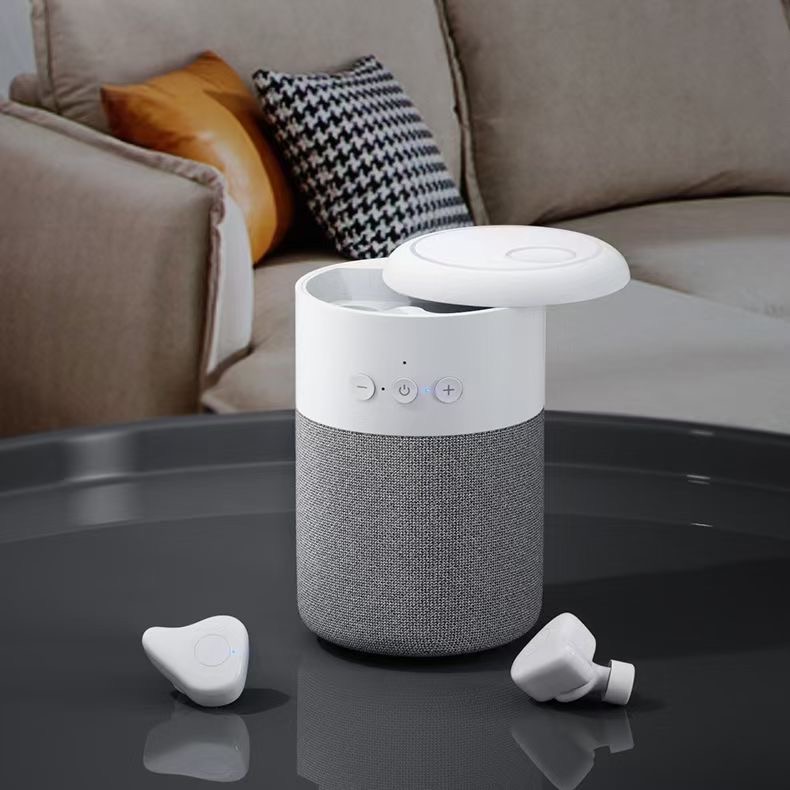 Bluetooth-Lautsprecher und intelligente Lautsprecher, welche sollten Sie wählen?