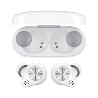 BJBJ TW18 TWS Earbuds